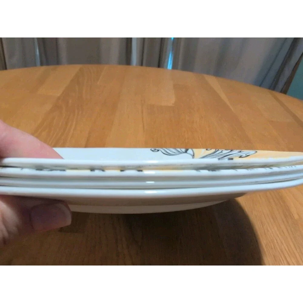 RARE Set of 4 Corelle Tango Dinner Plates 10 3/4
